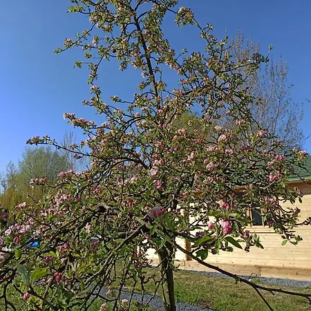 Verton, Les Du Fliers Meubles De Tourisme Classes 2 Etoiles De Berck Sur בקתה Verton