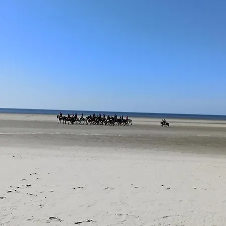 Les Du Fliers Meubles De Tourisme Classes 2 Etoiles Berck Sur * 베르통