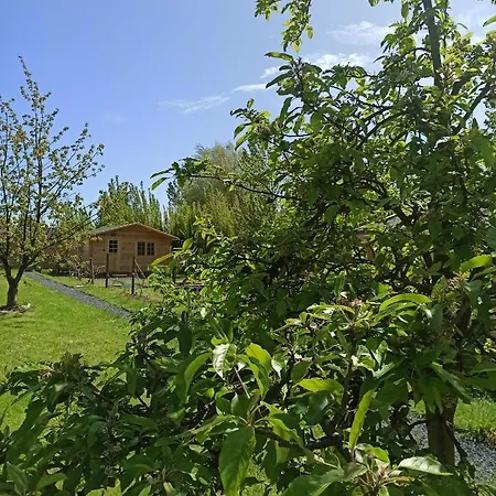 בקתה Verton, Les Du Fliers Meubles De Tourisme Classes 2 Etoiles De Berck Sur