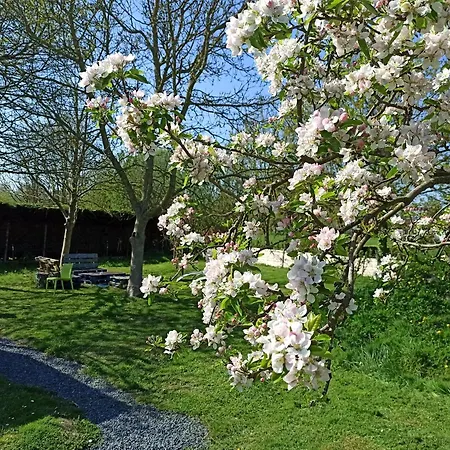 Verton, Les Du Fliers Meubles De Tourisme Classes 2 Etoiles De Berck Sur בקתה